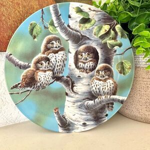 Knowles Co Northern Pygmy owls decorative plate